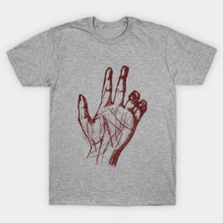 See these hand marks T-Shirt